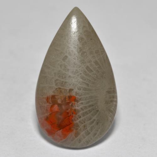 10.70캐럿 천연 멀티컬러 산호, 배 모양, 23.6×13.9 mm, 투명한