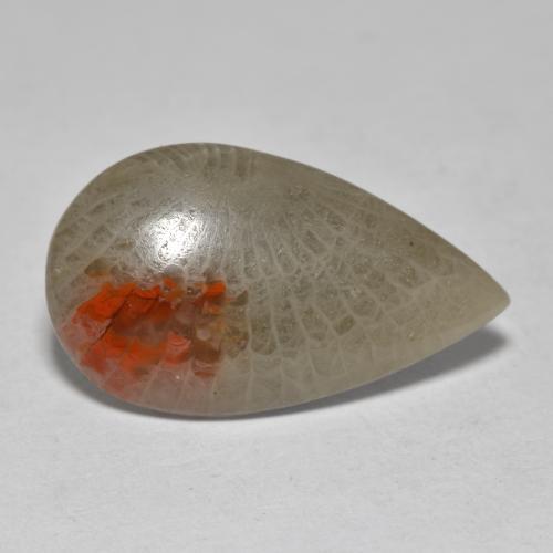 10.70캐럿 천연 멀티컬러 산호, 배 모양, 23.6×13.9 mm, 투명한