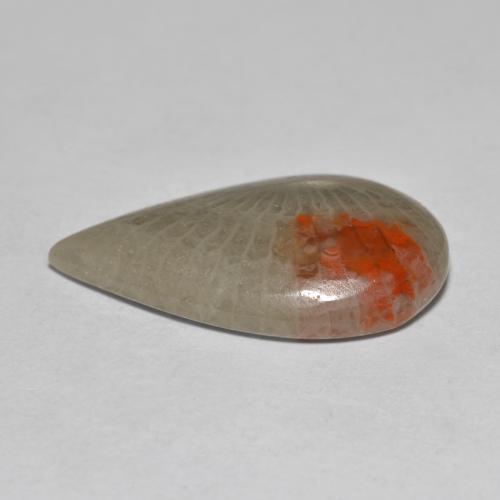 10.70캐럿 천연 멀티컬러 산호, 배 모양, 23.6×13.9 mm, 투명한