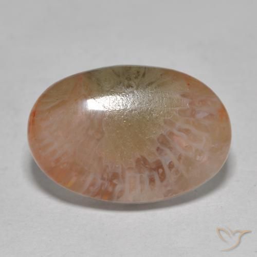 7.25ct 자연스러운 다색 산호, 타원형, 투명한