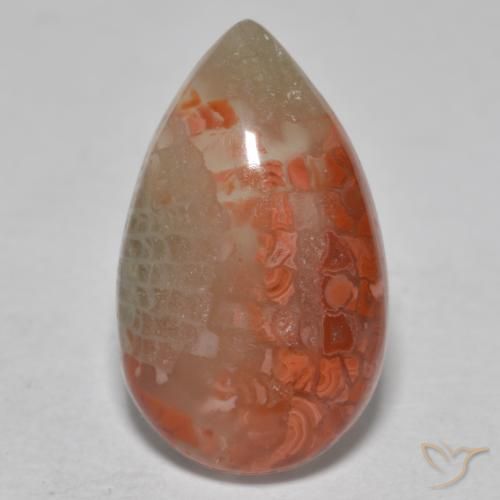 6.49ct 자연스러운 다색 산호, 배 모양, 투명한