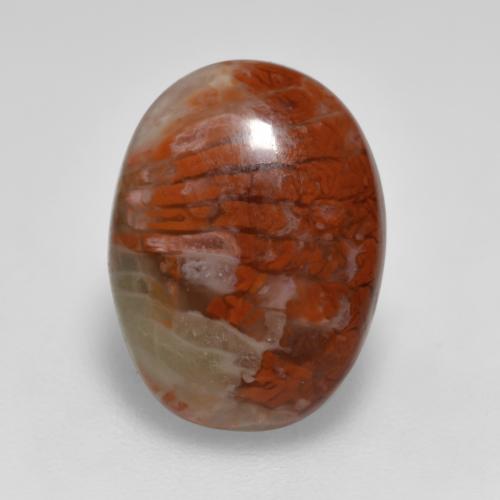 4.12캐럿 천연 다색 산호, 타원형 컷, 투명한