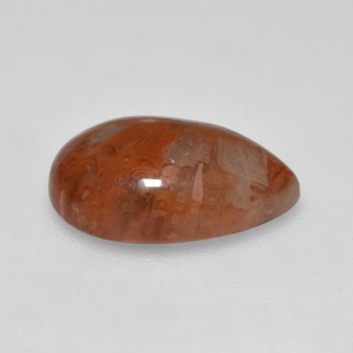 3.56캐럿 천연 다색 산호, 배 모양, 투명한