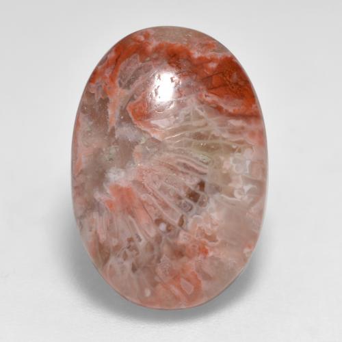 7.40캐럿 천연 멀티컬러 산호, 타원형 컷, 17.4×12.1 mm, 투명한
