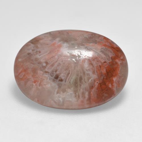 7.40캐럿 천연 멀티컬러 산호, 타원형 컷, 17.4×12.1 mm, 투명한