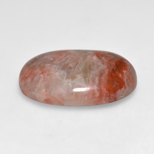 7.40캐럿 천연 멀티컬러 산호, 타원형 컷, 17.4×12.1 mm, 투명한