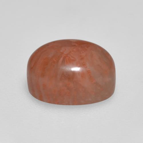 2.11캐럿 천연 멀티컬러 산호, 타원형 컷, 8.6×6 mm, 투명한