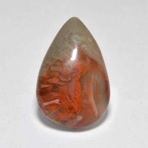 4.44캐럿 천연 멀티컬러 산호, 배 모양, 14.9×10 mm, 투명한
