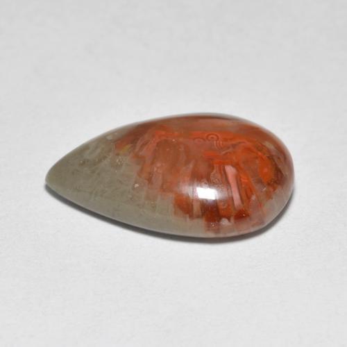 4.44캐럿 천연 멀티컬러 산호, 배 모양, 14.9×10 mm, 투명한