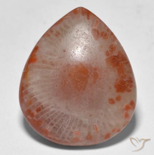 11.24캐럿 천연 멀티컬러 산호, 배 모양, 19.1×16.3 mm, 투명한