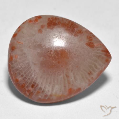 11.24캐럿 천연 멀티컬러 산호, 배 모양, 19.1×16.3 mm, 투명한