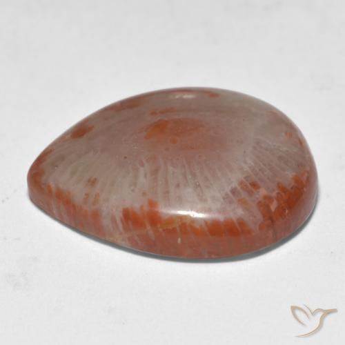 11.24캐럿 천연 멀티컬러 산호, 배 모양, 19.1×16.3 mm, 투명한