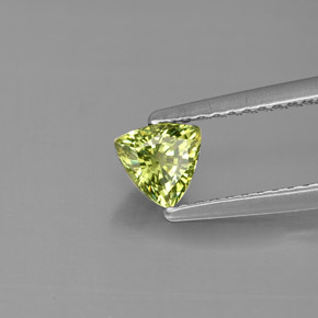 0.53캐럿 천연 그린 데만토이드 가넷, 트릴리언, 4.9×4.9 mm, VS