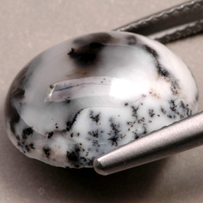 6.92캐럿 천연 다색 수지상 마노, 타원형 컷, 불투명체