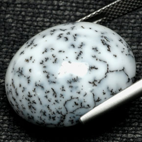 20.58캐럿 천연 멀티컬러 덴드리틱 아게이트, 타원형 컷, 20.6×17.4 mm, 불투명체
