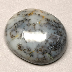 12.90캐럿 천연 멀티컬러 덴드리틱 아게이트, 타원형 컷, 18.4×15.2 mm, 불투명체