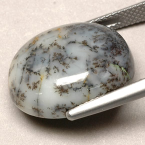 12.90캐럿 천연 멀티컬러 덴드리틱 아게이트, 타원형 컷, 18.4×15.2 mm, 불투명체