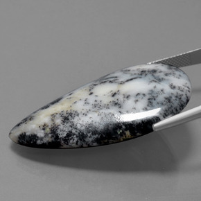 57.71캐럿 천연 멀티컬러 덴드리틱 아게이트, 배 모양, 30.5×44.2 mm, 불투명체