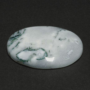 17.56캐럿 천연 멀티컬러 덴드리틱 아게이트, 타원형 컷, 25×18 mm, 불투명체