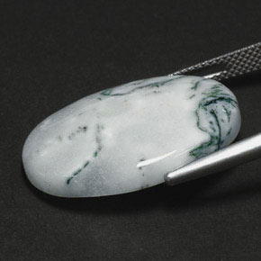 17.56캐럿 천연 멀티컬러 덴드리틱 아게이트, 타원형 컷, 25×18 mm, 불투명체
