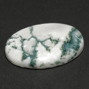 17.64캐럿 천연 멀티컬러 덴드리틱 아게이트, 타원형 컷, 25.1×18.1 mm, 불투명체
