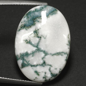17.64캐럿 천연 멀티컬러 덴드리틱 아게이트, 타원형 컷, 25.1×18.1 mm, 불투명체