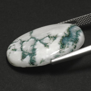 17.64캐럿 천연 멀티컬러 덴드리틱 아게이트, 타원형 컷, 25.1×18.1 mm, 불투명체