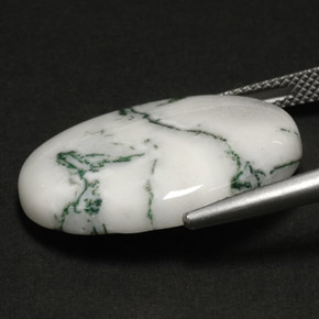 17.60캐럿 천연 멀티컬러 덴드리틱 아게이트, 타원형 컷, 25.2×18.1 mm, 불투명체