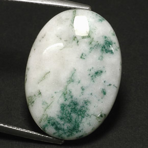 17.11캐럿 천연 멀티컬러 덴드리틱 아게이트, 타원형 컷, 18.1×25.1 mm, 불투명체
