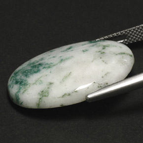 17.11캐럿 천연 멀티컬러 덴드리틱 아게이트, 타원형 컷, 18.1×25.1 mm, 불투명체