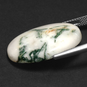 17.43캐럿 천연 다색 수지상 마노, 타원형 컷, 불투명체