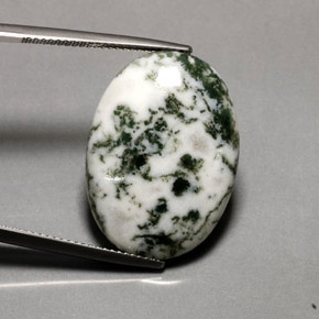 16.20캐럿 천연 멀티컬러 덴드리틱 아게이트, 타원형 컷, 24.8×17.9 mm, 불투명체