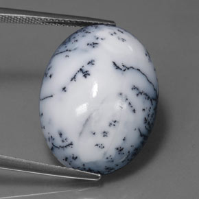 15.11캐럿 천연 블랙 화이트 덴드리틱 아게이트, 타원형 컷, 22.2×16.6 mm, 불투명체