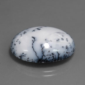15.11캐럿 천연 블랙 화이트 덴드리틱 아게이트, 타원형 컷, 22.2×16.6 mm, 불투명체