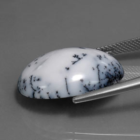 15.11캐럿 천연 블랙 화이트 덴드리틱 아게이트, 타원형 컷, 22.2×16.6 mm, 불투명체