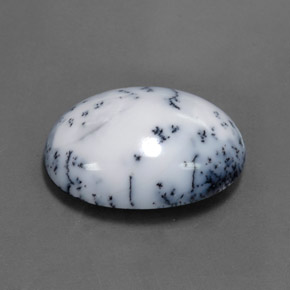 15.11캐럿 천연 블랙 화이트 덴드리틱 아게이트, 타원형 컷, 22.2×16.6 mm, 불투명체