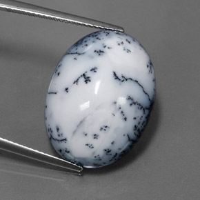 15.11캐럿 천연 블랙 화이트 덴드리틱 아게이트, 타원형 컷, 22.2×16.6 mm, 불투명체
