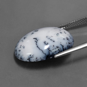 15.11캐럿 천연 블랙 화이트 덴드리틱 아게이트, 타원형 컷, 22.2×16.6 mm, 불투명체