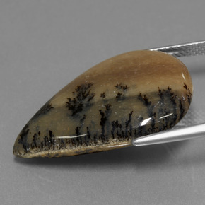 19.92캐럿 천연 다색 수지상 마노, 배 모양, 불투명체