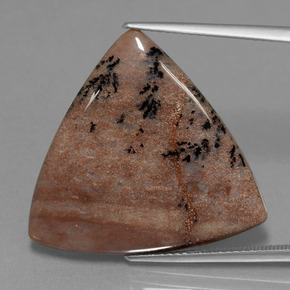 19.37캐럿 천연 멀티컬러 덴드리틱 아게이트, 트릴리언, 24.7×25.3 mm, 불투명체