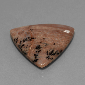 19.37캐럿 천연 멀티컬러 덴드리틱 아게이트, 트릴리언, 24.7×25.3 mm, 불투명체