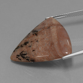 19.37캐럿 천연 멀티컬러 덴드리틱 아게이트, 트릴리언, 24.7×25.3 mm, 불투명체