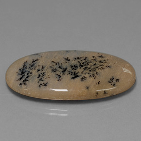 44.37캐럿 천연 멀티컬러 덴드리틱 아게이트, 타원형 컷, 41.9×23.7 mm, 불투명체