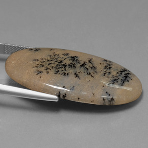 44.37캐럿 천연 멀티컬러 덴드리틱 아게이트, 타원형 컷, 41.9×23.7 mm, 불투명체