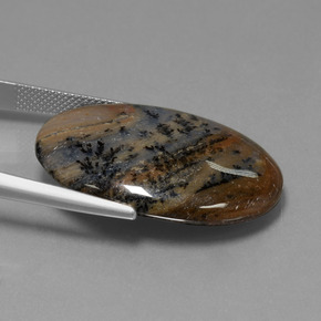 31.59캐럿 천연 다색 수지상 마노, 타원형 컷, 불투명체