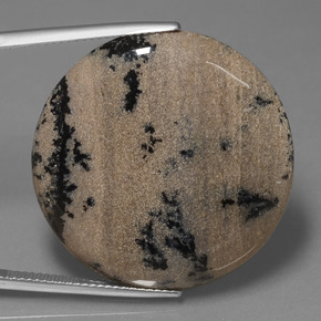 36.61캐럿 천연 다색 수지상 마노, 라운드 컷, 불투명체