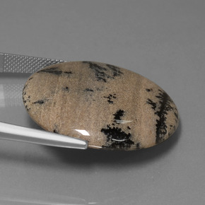 36.61캐럿 천연 다색 수지상 마노, 라운드 컷, 불투명체