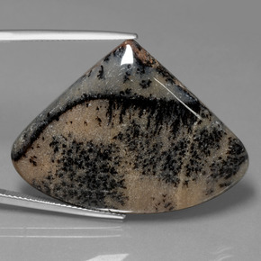 44.44캐럿 천연 멀티컬러 덴드리틱 아게이트, 멋진 모양, 28.3×38.2 mm, 불투명체