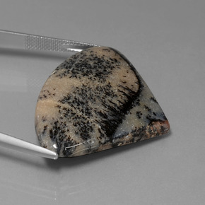 44.44캐럿 천연 멀티컬러 덴드리틱 아게이트, 멋진 모양, 28.3×38.2 mm, 불투명체
