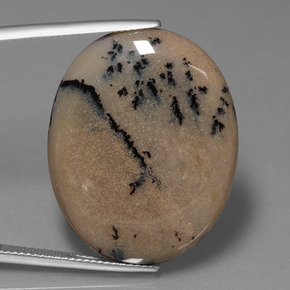 35.89캐럿 천연 다색 수지상 마노, 타원형 컷, 불투명체